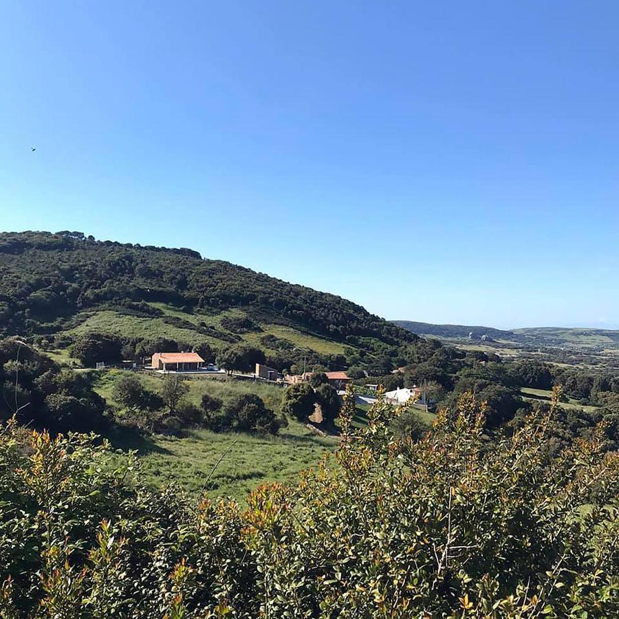 B&B La Tasgia Aggius Екстер'єр фото