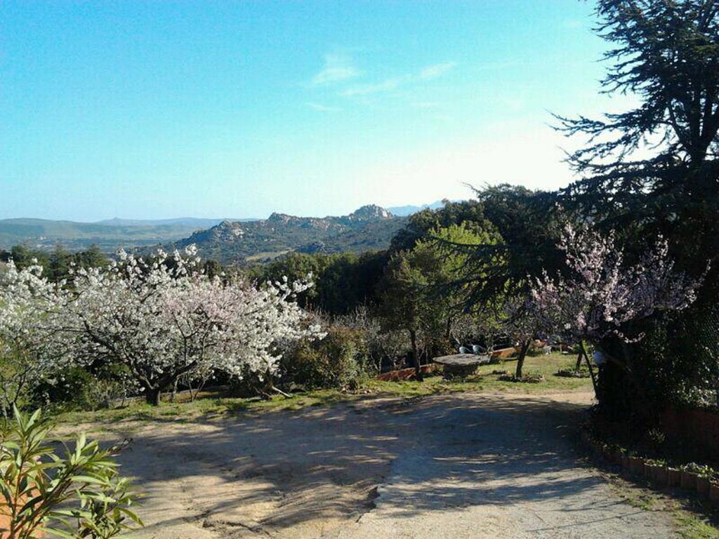 B&B La Tasgia Aggius Екстер'єр фото