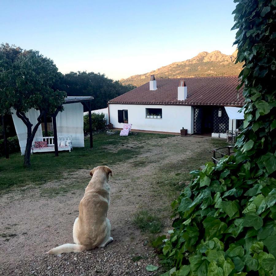B&B La Tasgia Aggius Екстер'єр фото