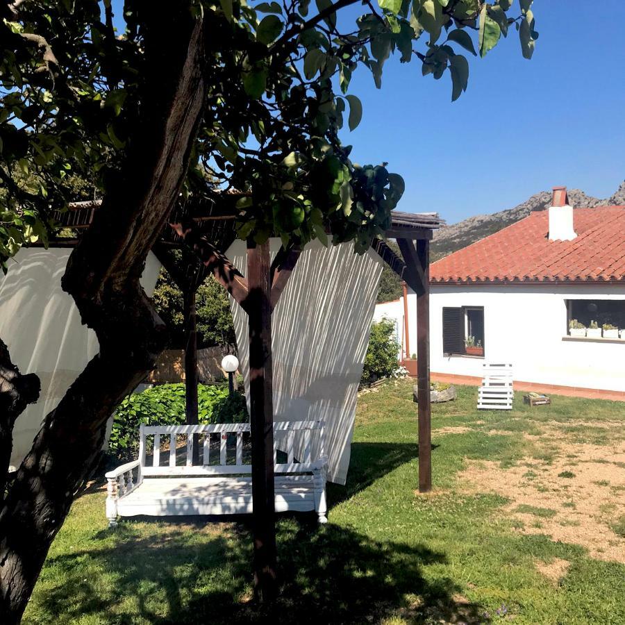 B&B La Tasgia Aggius Екстер'єр фото